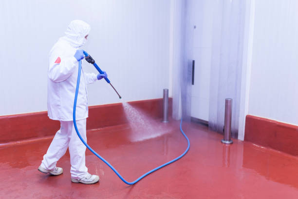 Best Winterizing Services  in Bridgeton, MO